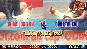 Trận 15 CPC5 9/1/2026 - Bướm Anh Bình Mắt Liếc Ngang Dọc Liếc Rồi Chạy