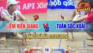 Trận 15 Xà Xía 23/1/2026 - Bướm Giữ Bo Tới Phút Chót, Đá Xanh Lật Gọng