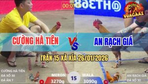 Trận 15 Xà Xía 26/1/2026 - Xám Chuối Chủ Bồ Đá Hay Nhưng Dính Chân Xui