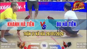 Trận 15 Xà Xía 28/1/2026 - Vàng Đá Quá Đâm, Điều Lọt Bọng Chạy Mất Xác