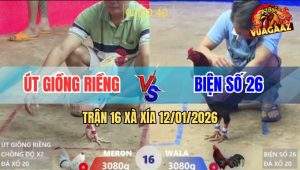 Trận 16 Xà Xía 12/1/2025 - Bướm Chồng Độ Vô Trong Đá Que Tốc Chạy