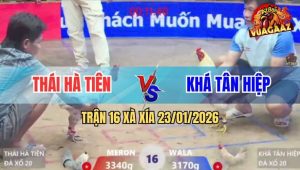 Trận 16 Xà Xía 23/1/2026 - Đỏ Đâm Như Chĩa, Úa Anh Kiểm Giãy Đành Đạch