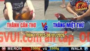 Trận 17 CPC5 9/1/2026 - Điều Xanh Đá Ngay Ông Địa Đoạt Mạng Điều Đỏ