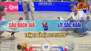 Trận 17 Xà Xía 12/1/2025 - Bướm Đá Ngay Ông Địa Que Đập Cánh Giãy Chết