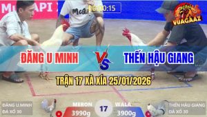 Trận 17 Xà Xía 25/1/2026 - Anh Kiểm Đưa Anh Em Xa Bờ Cập Bến An Toàn