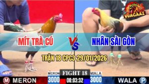 Trận 18 CPC3 29/1/2026 - Gà Anh Mít Trà Cú Đá Gà Chuối Gãy Giò Phút 90