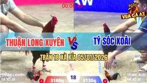 Trận 18 Xà Xía 5/1/2026 - Khét Đá Chân Hiểm Điều Tử Vong Tại Chỗ