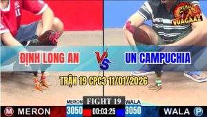 Trận 19 CPC3 11/1/2026 - Điều Đỏ Chốt Hạ Điều Xanh Phút 90 Mãn Nhãn