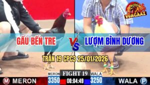 Trận 19 CPC3 25/1/2026 - Vô Ô Điều Đá Chân Chí Mạng Phản Ăn 2 Đẳng Cấp
