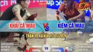 Trận 19 Xà Xía 11/1/2026 - Anh Kiểm Vừa Thả Tay Là Có Tiền Bỏ Túi