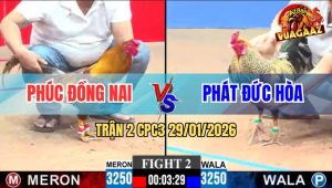 Trận 2 CPC3 29/1/2026 - Phút Lâm Chung Khét Bung Bồ La Miệng