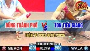 Trận 20 CPC3 8/1/2026 - Bướm Đá Điều Anh Ton Banh Hết Mà Về Không Được