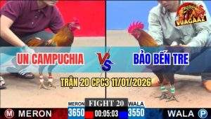Trận 20 CPC3 11/1/2026 - Điều Chân Xanh Đá Chân Vàng Chạy La Làng