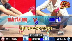 Trận 20 CPC3 25/1/2026 - Bướm Lá Anh Thái Đâm Điều Dâu Lìa Giò