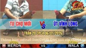 Trận 20 CPC4 6/1/2026 - Điều Anh Tư Đâm Điều Xanh Thở OXY Không Kịp