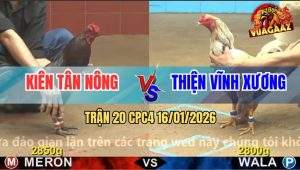 Trận 20 CPC4 16/1/2026 - Bướm Nhét Cựa Quá Khéo, Điều Liệm Từ Từ