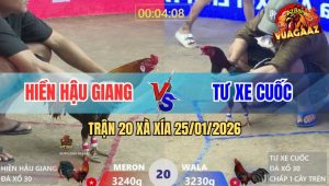 Trận 20 Xà Xía 25/1/2026 - Điều Anh Tư Chấp Trên Dưới Ăn Độ Nhẹ Nhàng