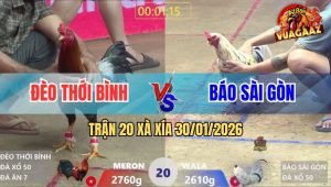 Trận 20 Xà Xía 30/1/2026 - Điều Đá Khỏi Tha Lơ, Đưa AE Về Bờ An Toàn