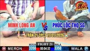 Trận 21 CPC3 11/1/2026 - Mướm Má Minh Quá Trâu Gà Vàng Đâm Không Thấm