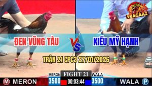 Trận 21 CPC3 27/1/2026 - Điều Xanh Hạ Đỏ Nhẹ Nhàng Như Đẩy Xe Hàng