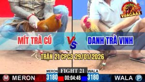 Trận 21 CPC3 29/1/2026 - Khét Cọp Anh Mít Trà Cú Siết Gà Chuối Bỏ Chạy
