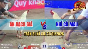 Trận 21 Xà Xía 21/1/2026 - Bướm Đâm Úa Chân Xanh Gục Đầu Chạy Sảng