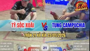 Trận 21 Xà Xía 23/1/2026 - Xám Chồng Độ Kém Gần 5 Chấm, Đá Bướm Tơi Tả