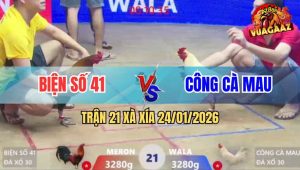 Trận 21 Xà Xía 24/1/2026 - Bướm Có Chân Xạo Lờ Phản Ăn 1 Biện Đi Xa