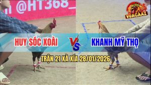 Trận 21 Xà Xía 28/1/2026 - Chuối Nhấp Mấy Chân, Gà Cú Chạy Bay Bồ