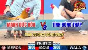Trận 22 CPC3 4/1/2026 - Bướm So So Ra Chân Hiểm Khét Tốc Chạy