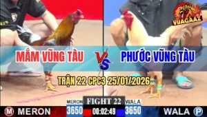 Trận 22 CPC3 25/1/2026 - Úa Anh Phước Đá Tăng 1 Xám Râu Té Quẹo Cổ