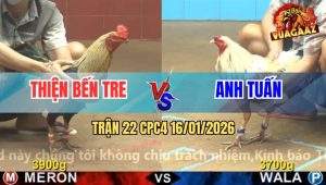 Trận 22 CPC4 16/1/2026 - Gà Chuối Đá Chân Nào Bướm Chặn Hết Chân Đó