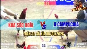 Trận 22 Xà Xía 5/1/2026 - Anh Kẽm Lòn Gà Bao Bồ Bị Hạ Trong 1 Nốt Nhạc