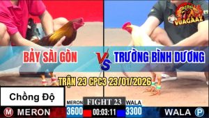 Trận 23 CPC3 23/1/2026 - Điều Anh Bảy Chồng Độ Bị Đá Gãy Cánh Tốc Chạy