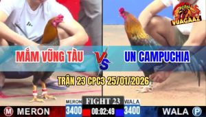 Trận 23 CPC3 25/1/2026 - Điều Cọp Anh Mắm Đá Điều CPC Bại Liệt Tứ Chi