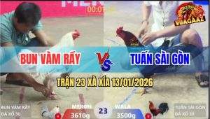 Trận 23 Xà Xía 13/1/2026 - Cả Hai Đều Ói, Điều Lướt Qua Đứng Lấy Tiền