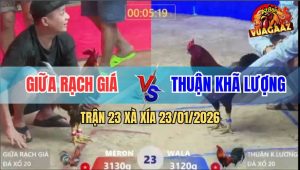 Trận 23 Xà Xía 23/1/2026 - Điều Xanh Đâm Xám Cây Lưng, Ho Ra Máu Lỏng