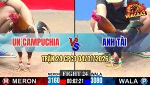 Trận 24 CPC3 4/1/2026 - Điều Anh Tài Đá 1 Hơi Đỏ Tai Biến, Lụm Xổ 300