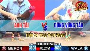 Trận 24 CPC3 11/1/2026 - Bướm Đá Điều Liệt Toàn Thân Sau 1 Tay Nước