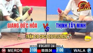 Trận 24 CPC3 27/1/2026 - Hai Con Vô Chà Cực Căng, Gà Cú Tang Nặng Hư