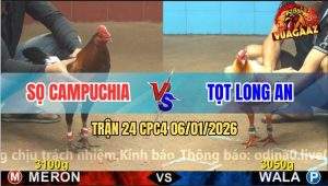 Trận 24 CPC4 6/1/2026 - Úa Anh Tọt Đâm Lủng Lưng Gà Điều Cánh CPC