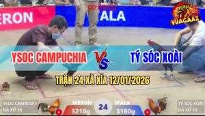 Trận 24 Xà Xía 12/1/2025 - Khét Đuôi Lao Lướt Ói Đâm Điều Chết Tươi