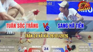 Trận 24 Xà Xía 28/1/2026 - Bướm Anh Tuấn Bú Điều Anh Sang Chạy Cà Lặc