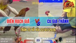 Trận 25 Xà Xía 22/1/2026 - 1 Đòn Duy Nhất Khét Gãy Trụ Nằm Tại Chỗ