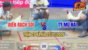 Trận 25 Xà Xía 25/1/2026 - Bướm Vô Kính Có Chân Xạo Lờ Cứu Chủ