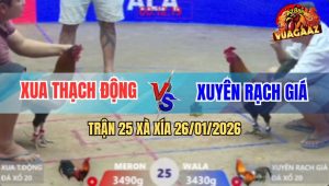 Trận 25 Xà Xía 26/1/2026 - Phút 90 Điều Xanh Đuối Sức Quay Đầu Bỏ Đi