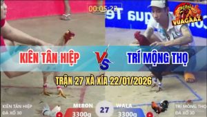 Trận 27 Xà Xía 22/1/2026 - Điều Vô Đâm Trúng Tim, Bướm Ho Ra Máu Miệng