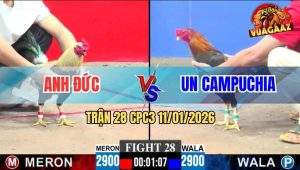 Trận 28 CPC3 11/1/2026 - Phút 90 Gà Chuối Anh Đức Đá Bo Như Cây Đập