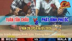 Trận 28 CPC4 16/1/2026 - Điều Cọp Anh Phát Đá Gãy Cổ Gà Điều Anh Tuấn