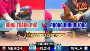 Trận 29 CPC3 29/1/2026 - Xanh Đá Cây Quyết Định Đỏ Lĩnh Đòn Té Rinh Ra